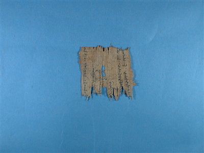 110 a recto.jpg